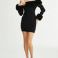 Luxurious Fur Collar Trimmed Dress