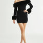 Luxurious Fur Collar Trimmed Dress