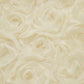 Romance Tie Front Rosette Jacket